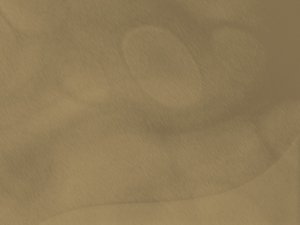 空气净化器除过敏原效果真实反馈